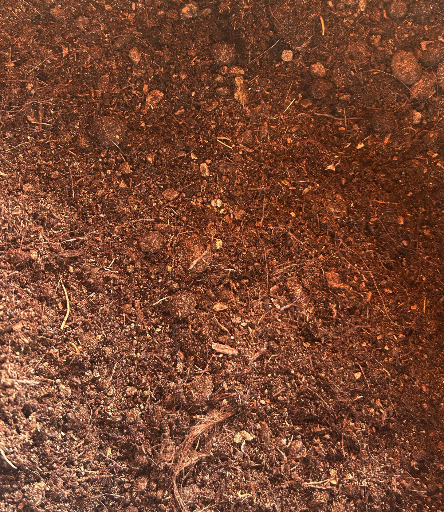 Substrat plantes aquatiques