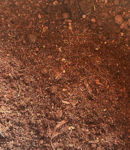 Substrat plantes aquatiques